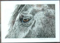 JudyLarsonScratchboardCroppedA.JPG